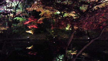 f0116278_23255216.jpg