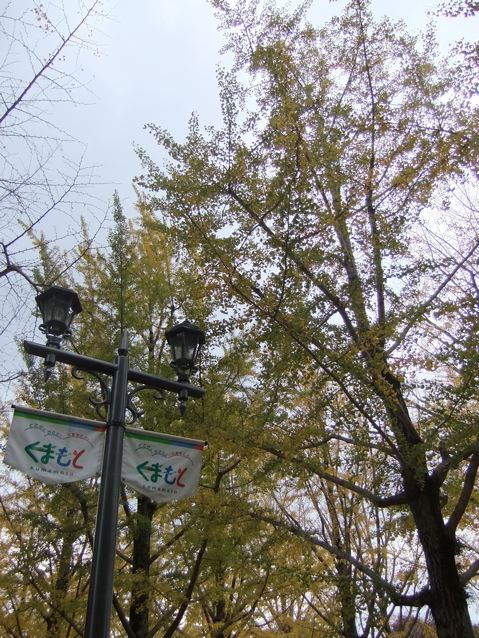e0132881_2325285.jpg