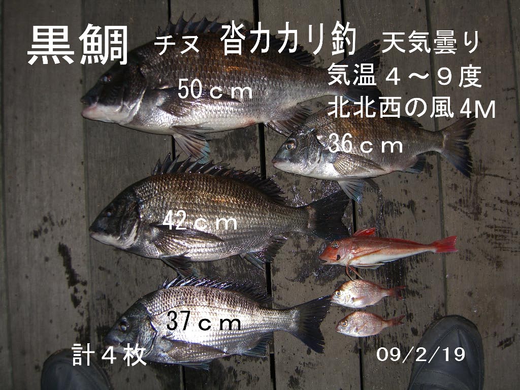 e0023183_946598.jpg