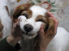 e0121583_21124892.jpg
