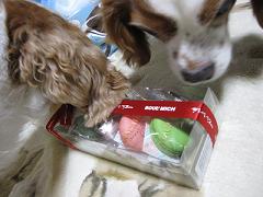e0121583_21851.jpg