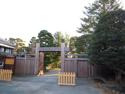 d0044986_730329.jpg