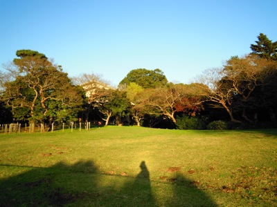 d0044986_7364763.jpg
