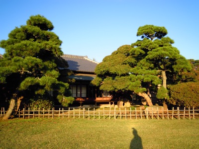d0044986_7374167.jpg