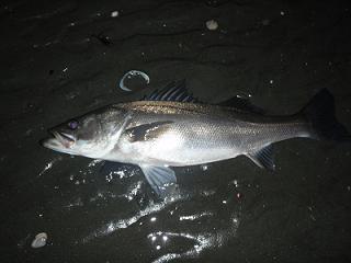 f0069890_1037896.jpg