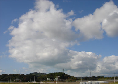 c0161594_0293424.jpg