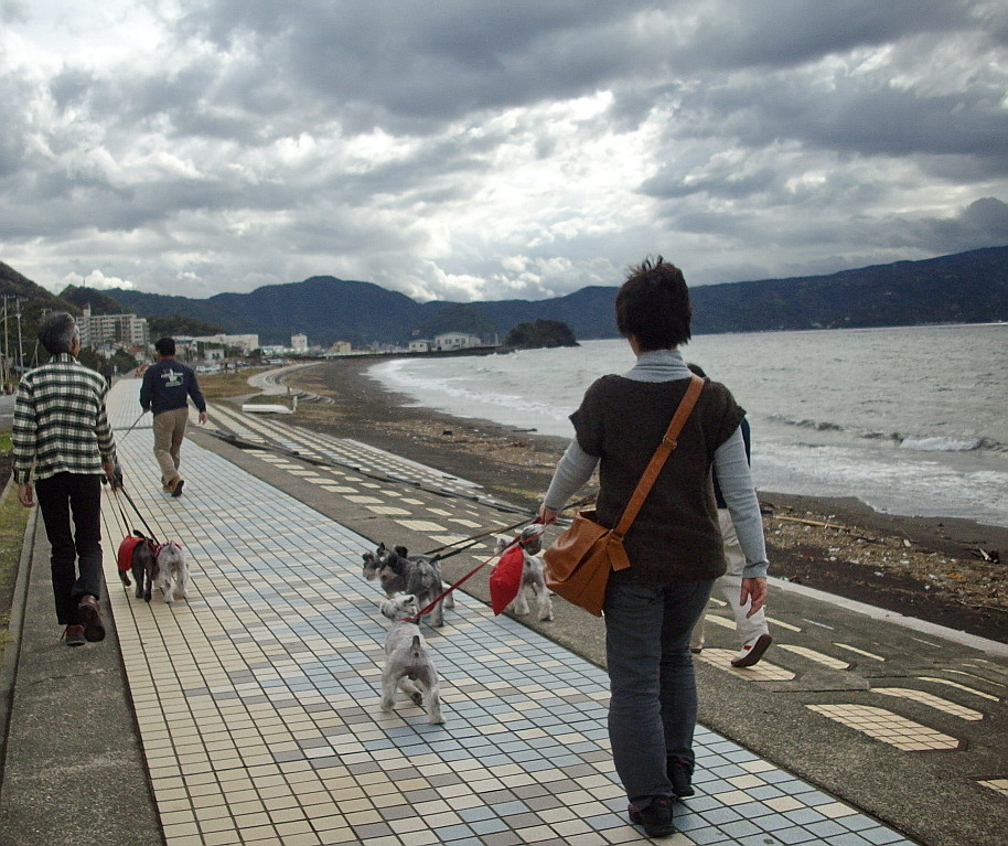 c0138198_16192032.jpg