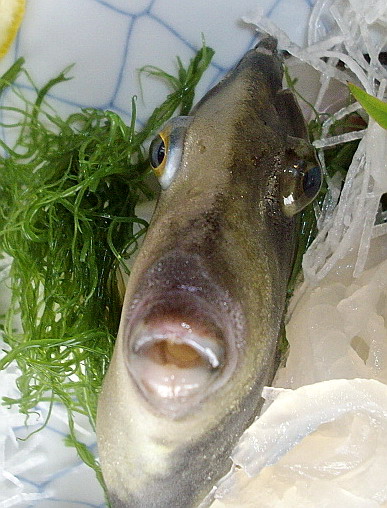 c0138198_16303049.jpg