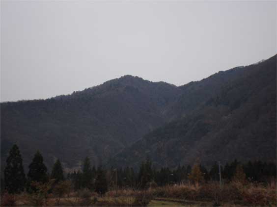 a0061599_749306.jpg