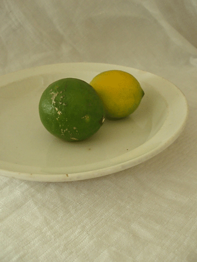 c0129702_2391649.gif