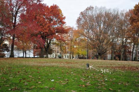 e0039002_2313143.jpg