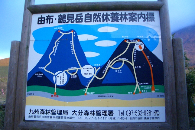 c0197004_1153179.jpg