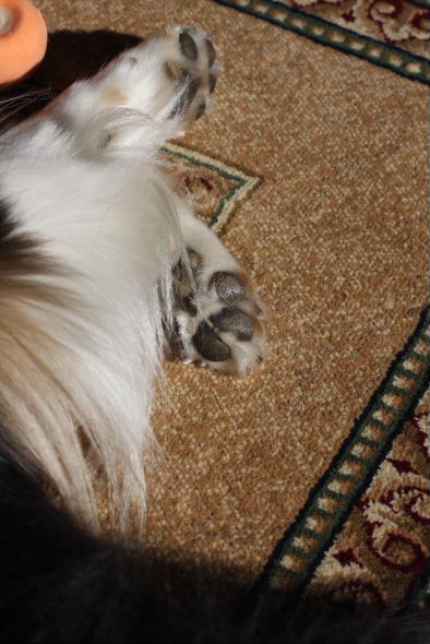 e0130008_17282891.jpg