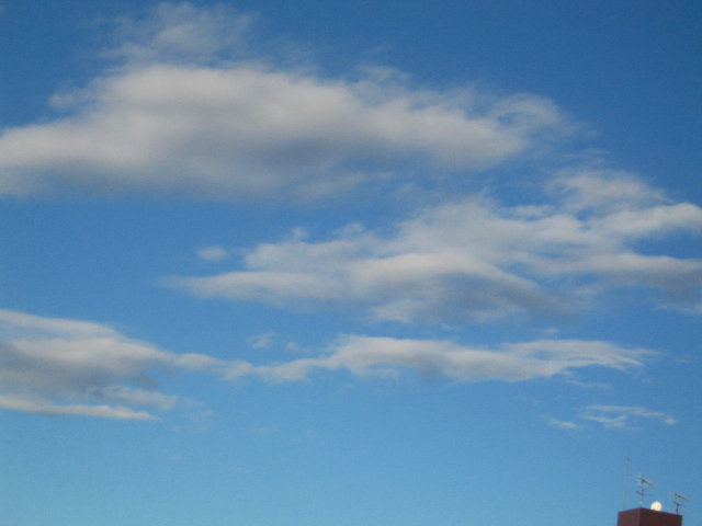 d0150309_2031586.jpg