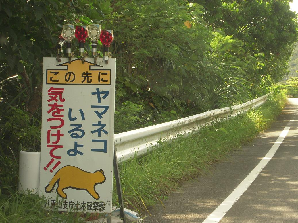 e0047216_12553144.jpg