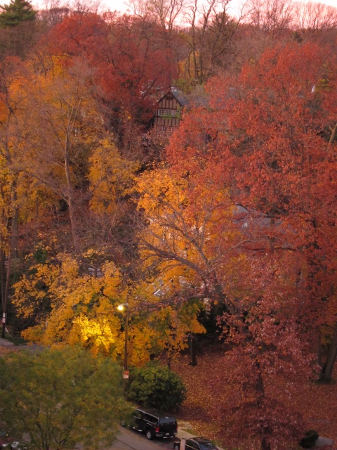 c0120817_11192558.jpg