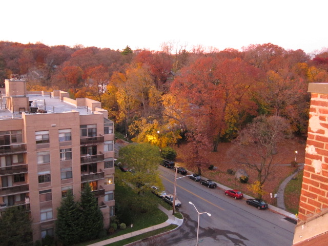 c0120817_11202858.jpg
