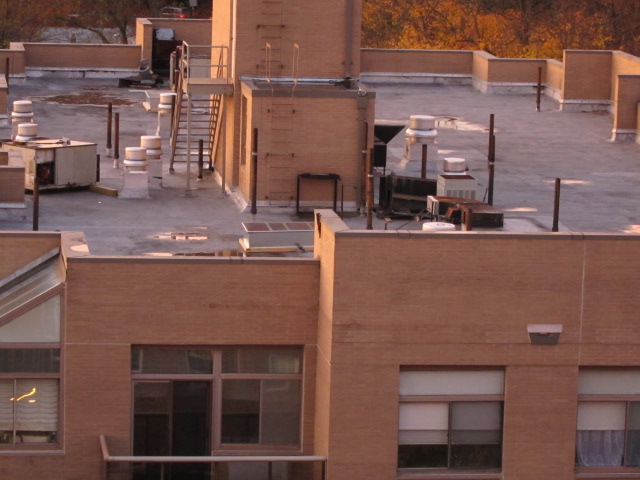 c0120817_11212473.jpg