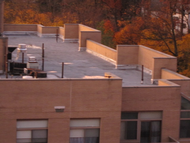c0120817_11221324.jpg