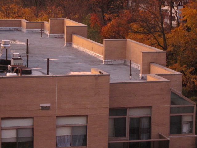 c0120817_11222867.jpg