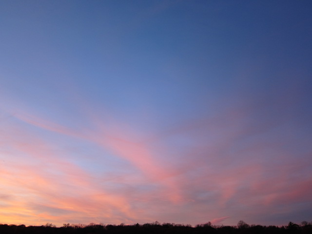 c0120817_11254527.jpg