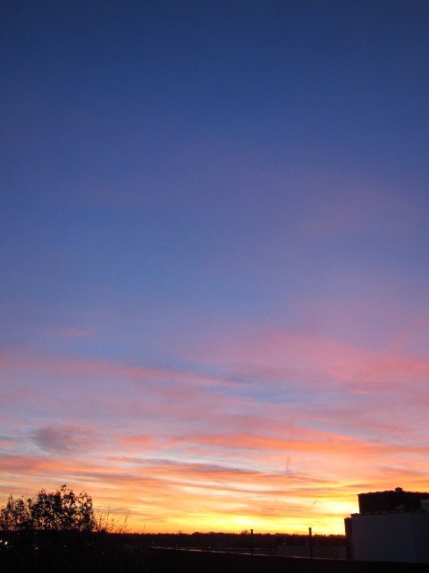 c0120817_1126028.jpg