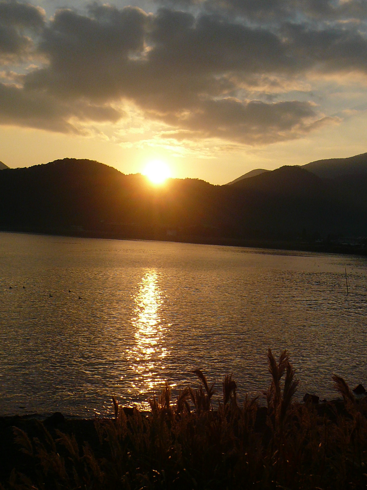 f0163920_0101047.jpg