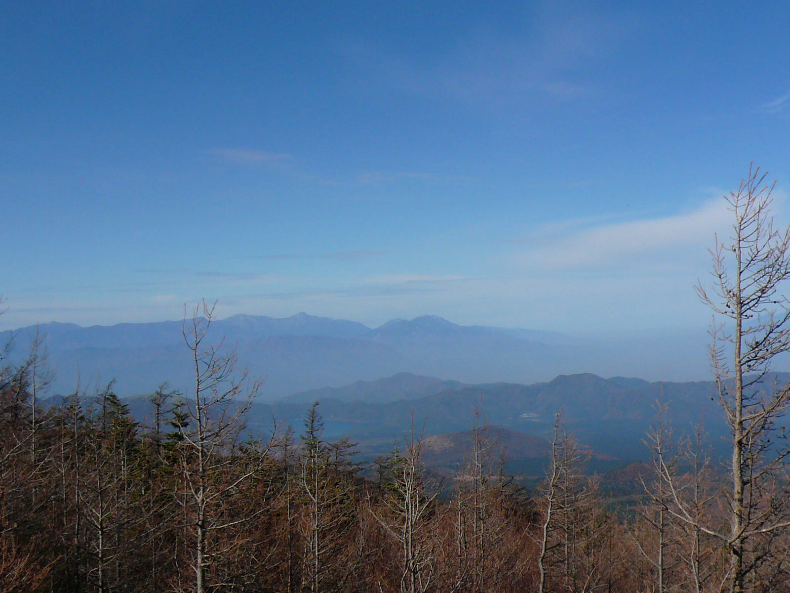 f0163920_2381665.jpg