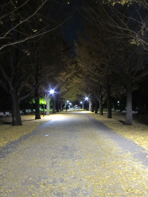 e0192921_2275529.jpg