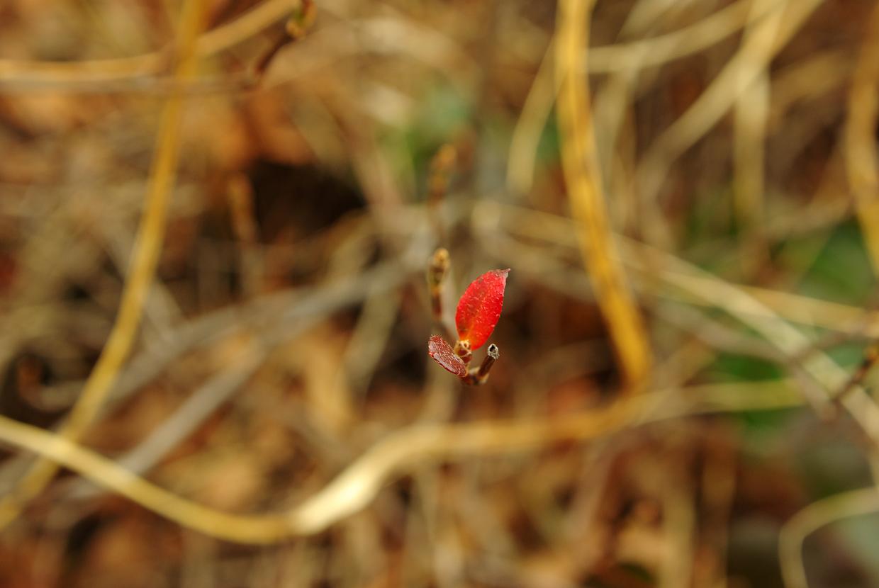 b0062024_730941.jpg
