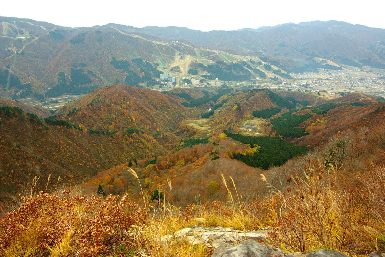b0062024_733588.jpg