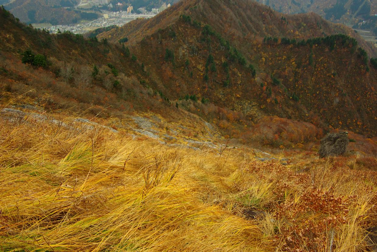 b0062024_7351868.jpg