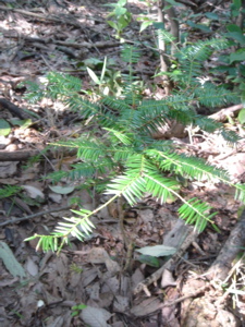 b0131724_0394773.jpg