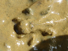 b0131724_248936.jpg