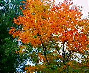 c0051529_23193159.jpg