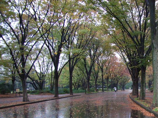 c0095731_385923.jpg