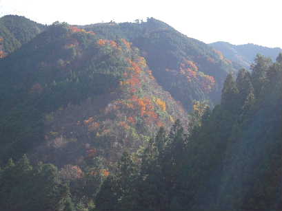 b0025633_21111411.jpg