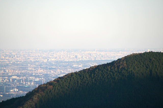 e0064133_0303631.jpg