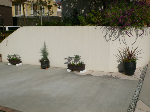 f0061334_2221020.jpg