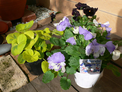 f0061334_222370.jpg