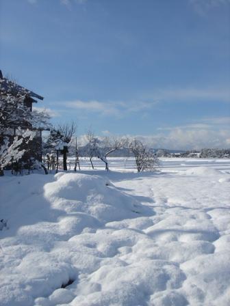 f0131535_11542189.jpg