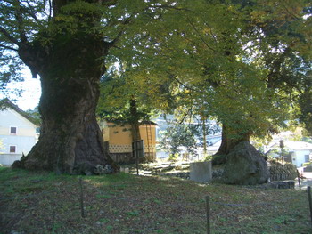 c0183137_03214.jpg