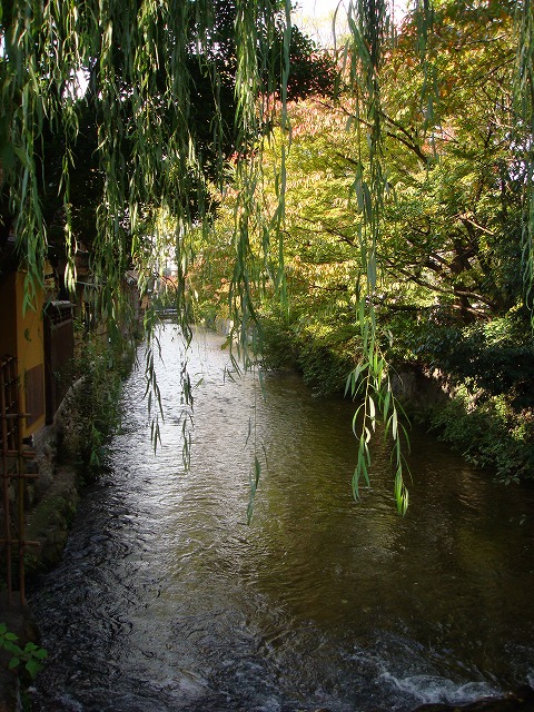 a0046339_2224476.jpg