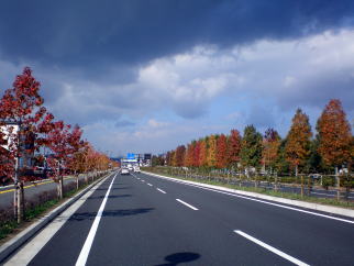 a0135840_16175486.jpg