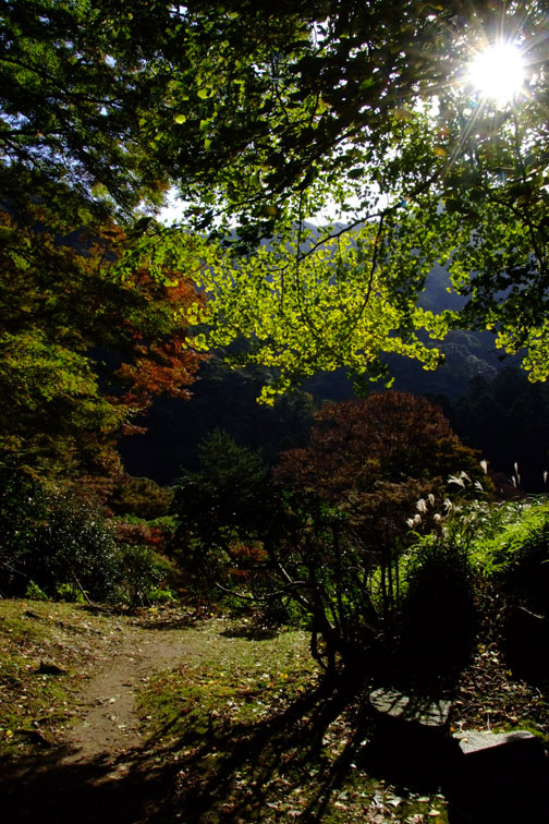 b0075541_6591593.jpg