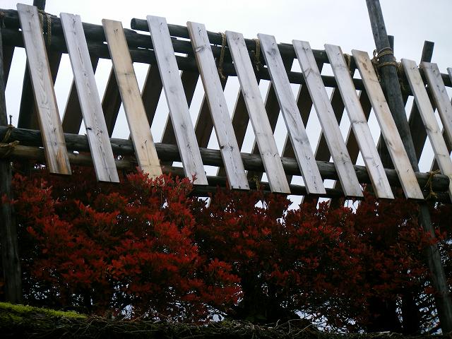 e0146841_22255420.jpg