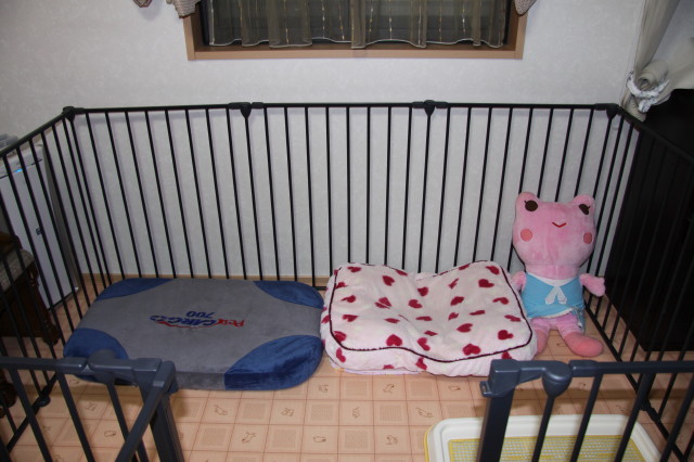e0169243_2333927.jpg