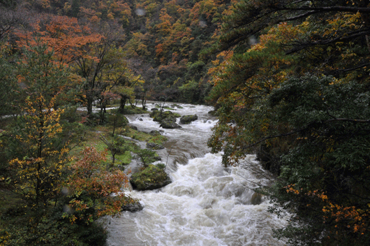 c0093046_7133831.gif