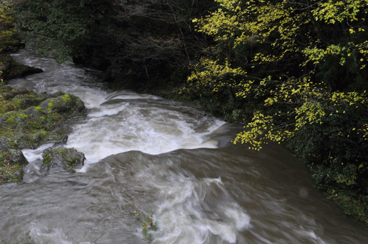 c0093046_7135316.gif