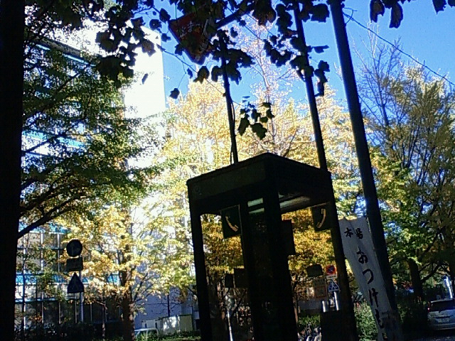 f0179947_0261764.jpg
